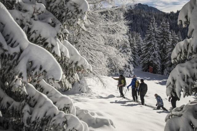Le Flocon-Studio Cabine-Balcon 4-6 Pers A 100M Des Pistes شاروس المظهر الخارجي الصورة