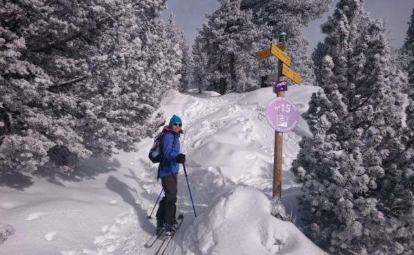 Le Flocon-Studio Cabine-Balcon 4-6 Pers A 100M Des Pistes شاروس المظهر الخارجي الصورة