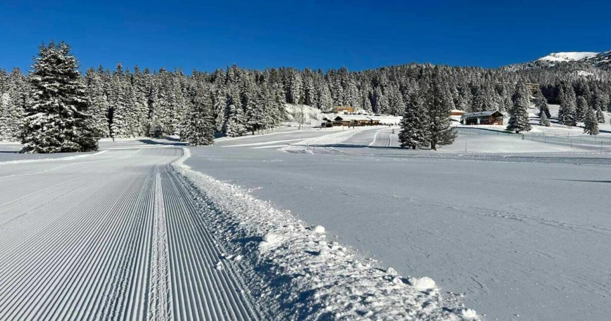 Le Flocon-Studio Cabine-Balcon 4-6 Pers A 100M Des Pistes شاروس المظهر الخارجي الصورة