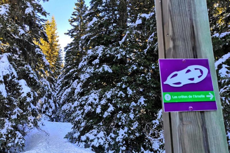 Le Flocon-Studio Cabine-Balcon 4-6 Pers A 100M Des Pistes شاروس المظهر الخارجي الصورة